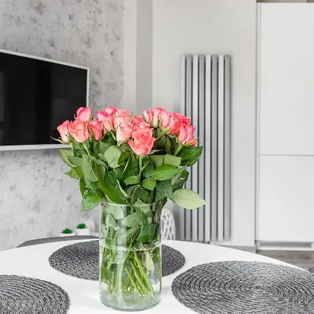 Premium Bandurskiego Appartement